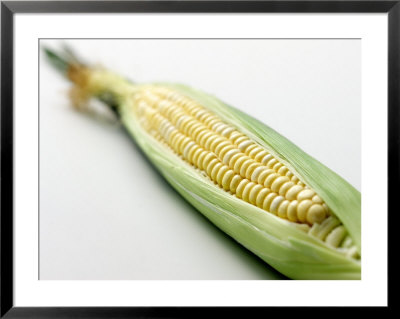 An Ear of Corn Framed Print An Ear of Corn Framed Print