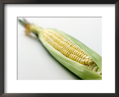 An Ear of Corn Framed Print An Ear of Corn Framed Print