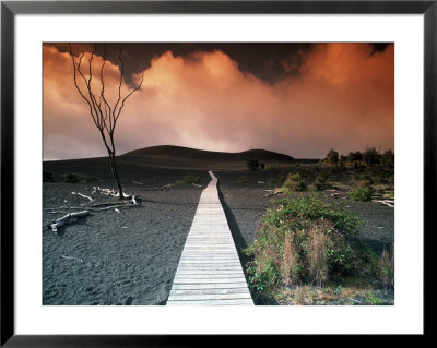 Devastation trail, HI Framed Print Devastation trail, HI Framed Print