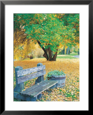 Bench, Autumn Colors Framed Print Bench, Autumn Colors Framed Print