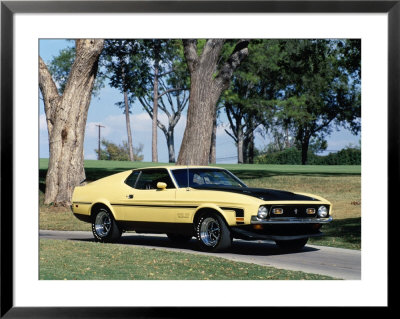 1971 Ford Mustang Boss 351 Framed Print 1971 Ford Mustang Boss 351 Framed Print
