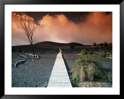 Devastation trail, HI Framed Print Devastation trail, HI Framed Print