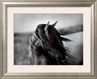 Fierce Grace Framed Print Fierce Grace Framed Print