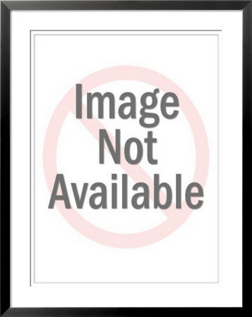 Fab 4: 2 of a Kind Framed Print Fab 4: 2 of a Kind Framed Print