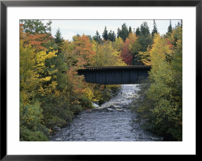 Skinner Brook, Nova Scotia, Canada Framed Print Skinner Brook, Nova Scotia, Canada Framed Print