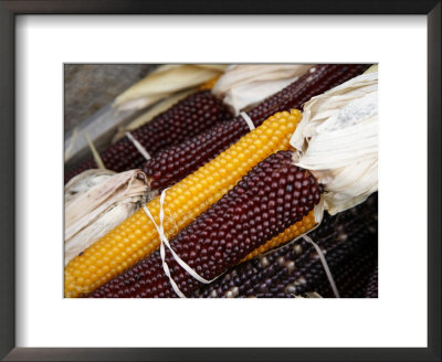 Autumn Harvest Framed Print Autumn Harvest Framed Print