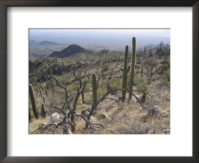 Rugged Slopes of Sabino Canyon Framed Print Rugged Slopes of Sabino Canyon Framed Print