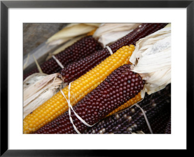 Autumn Harvest Framed Print Autumn Harvest Framed Print