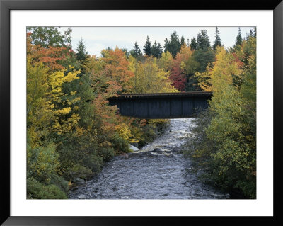 Skinner Brook, Nova Scotia, Canada Framed Print Skinner Brook, Nova Scotia, Canada Framed Print