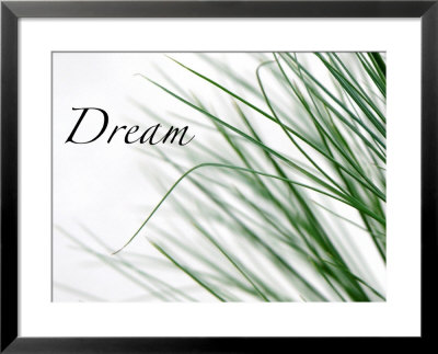 Dream: Reeds Framed Print Dream: Reeds Framed Print