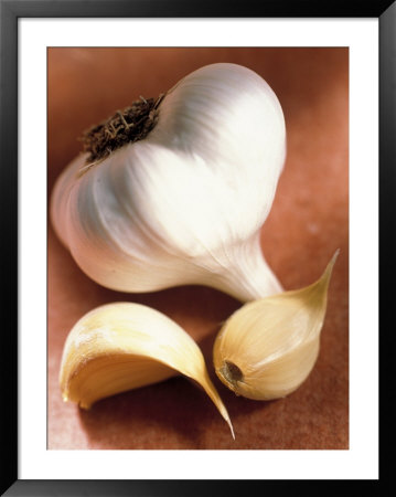 Garlic Framed Print Garlic Framed Print