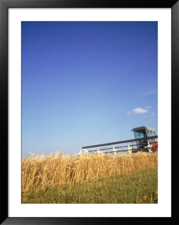 Combine in field Framed Print Combine in field Framed Print