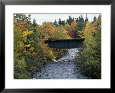 Skinner Brook, Nova Scotia, Canada Framed Print Skinner Brook, Nova Scotia, Canada Framed Print