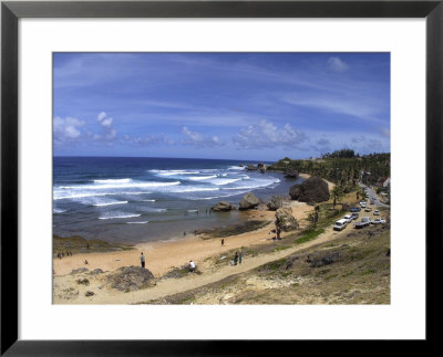 Flax Framed Print Flax Framed Print