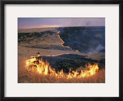 Prairie Fire Framed Print Prairie Fire Framed Print