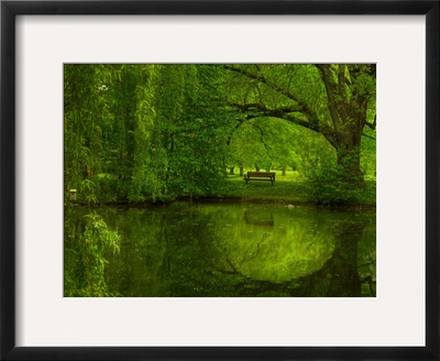 Green World Framed Print Green World Framed Print