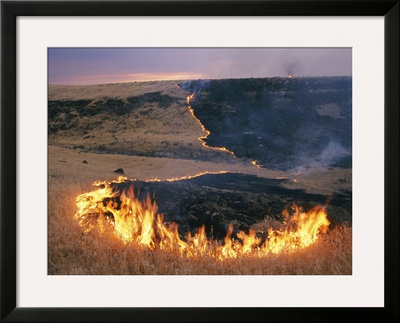 Prairie Fire Framed Print Prairie Fire Framed Print