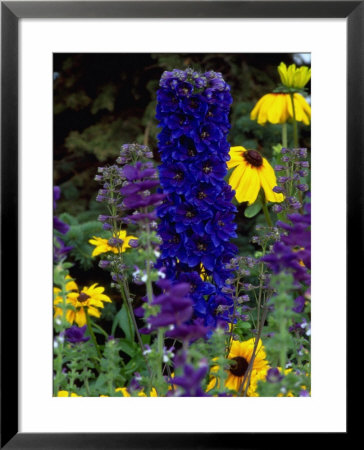Flowers, AK Framed Print Flowers, AK Framed Print