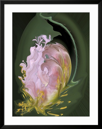 Abstract Flowers Framed Print Abstract Flowers Framed Print