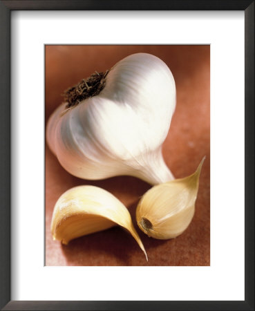 Garlic Framed Print Garlic Framed Print