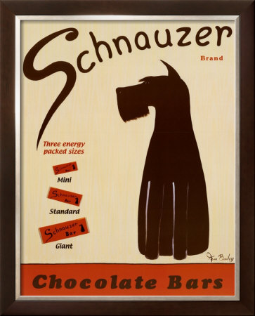 Schnauzer Bars Framed Print Schnauzer Bars Framed Print