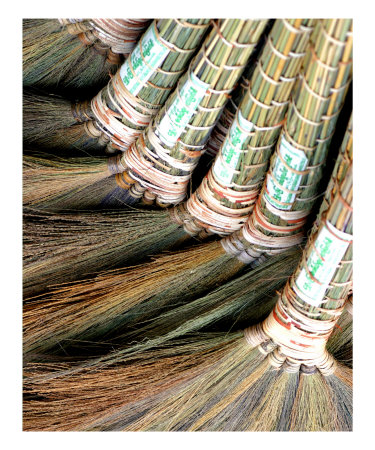 Burmese Brooms Photographic Print Burmese Brooms Photographic Print