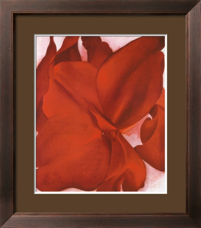 Red Cannas Framed Print Red Cannas Framed Print