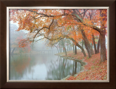 Autumn Reflections Framed Print Autumn Reflections Framed Print