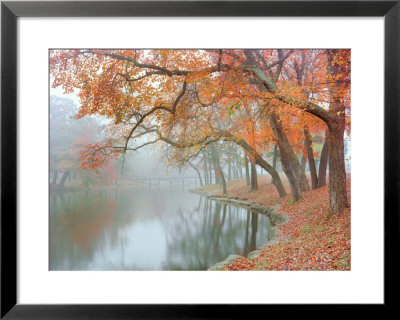 Autumn Reflections Framed Print Autumn Reflections Framed Print