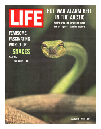 Snakes, March 1, 1963 Photographic Print Snakes, March 1, 1963 Photographic Print