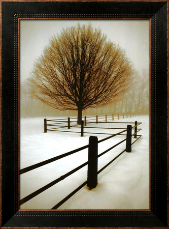 Solitude Framed Print Solitude Framed Print