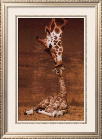 Makulu Framed Print Makulu Framed Print