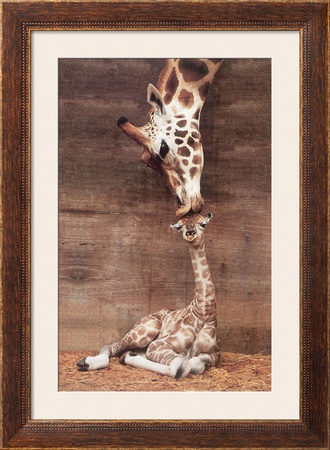 Makulu Framed Print Makulu Framed Print