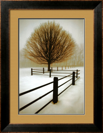 Solitude Framed Print Solitude Framed Print
