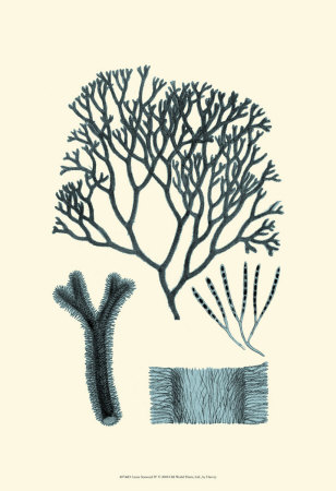 Azure Seaweed IV Print Azure Seaweed IV Print