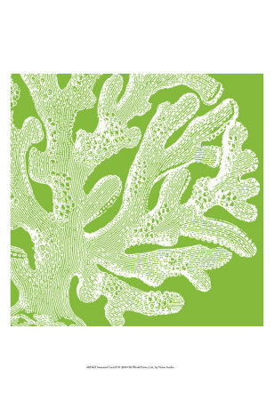 Saturated Coral II Print Saturated Coral II Print