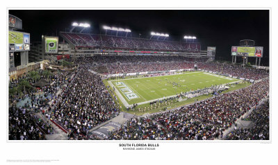 South Florida Bulls Print South Florida Bulls Print