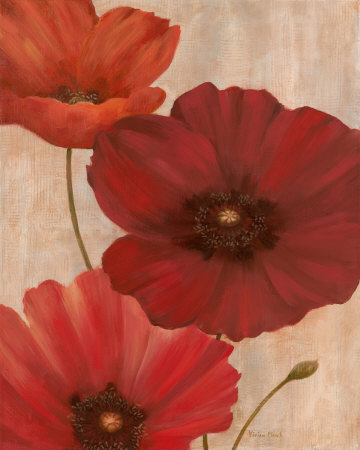 Poppy Trio I Print Poppy Trio I Print