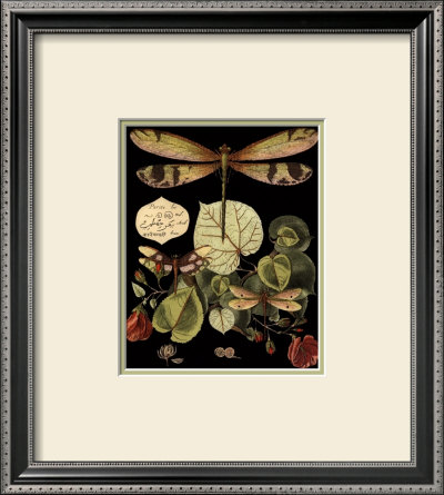 Whimsical Dragonfly on Black II Framed Print Whimsical Dragonfly on Black II Framed Print
