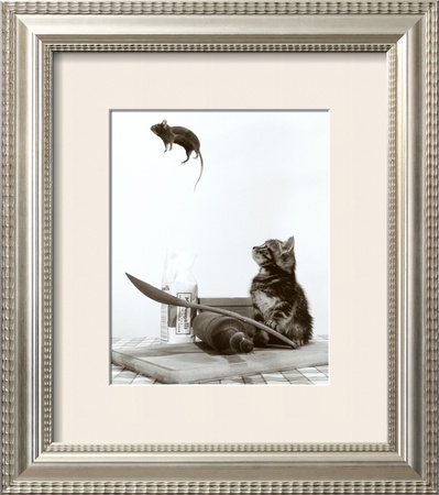 Cat and Mouse Framed Print Cat and Mouse Framed Print