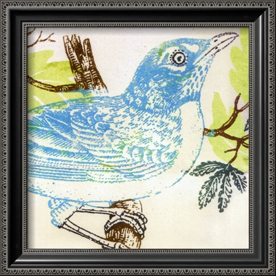 Bluebird Framed Print Bluebird Framed Print
