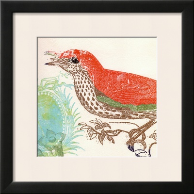 Red Bird Framed Print Red Bird Framed Print