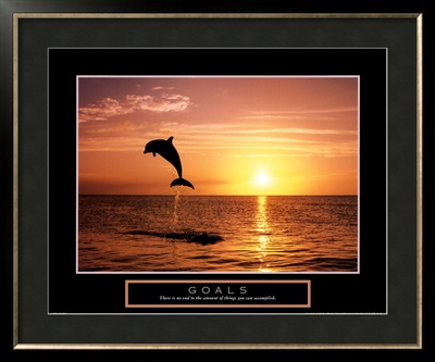 Goals: Dolphins Framed Print Goals: Dolphins Framed Print