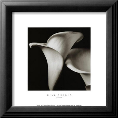 Lilies Framed Print Lilies Framed Print