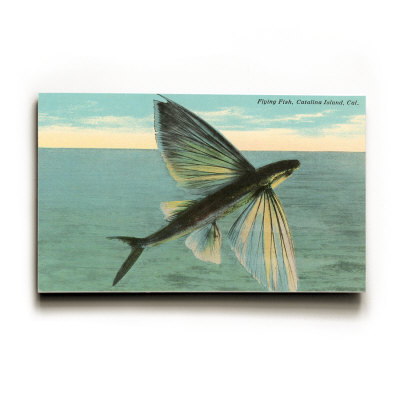 Flying Fish, Catalina, California Wood Sign Flying Fish, Catalina, California Wood Sign