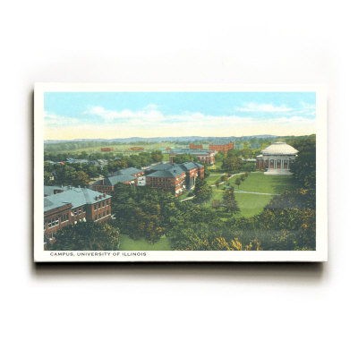 University of Illinois Wood Sign University of Illinois Wood Sign