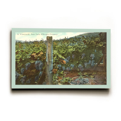 Vineyard, San Luis Obispo County Wood Sign Vineyard, San Luis Obispo County Wood Sign