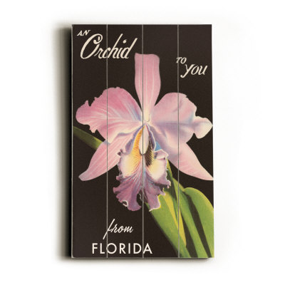 An Orchid from Florida Wood Sign An Orchid from Florida Wood Sign