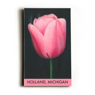 Holland, Michigan, Pink Tulip Wood Sign Holland, Michigan, Pink Tulip Wood Sign