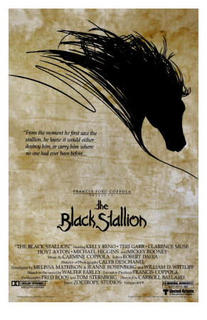 The Black Stallion Other The Black Stallion Other